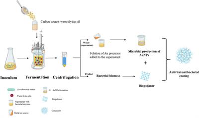 Dual production of polyhydroxyalkanoates and antibacterial/antiviral gold nanoparticles